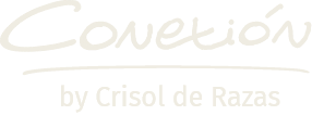 Logo-conexion